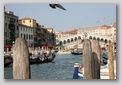 ponte del rialto a venezia