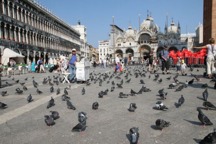 piazza san marco