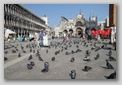 venise - saint marc