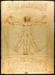 L'Homme de Vitruve, Léonard De Vinci, Accademie
