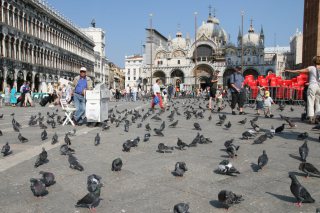 Piazza San Marco a Venezia 01