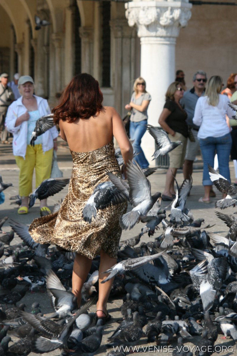Place Saint-Marc et pigeons